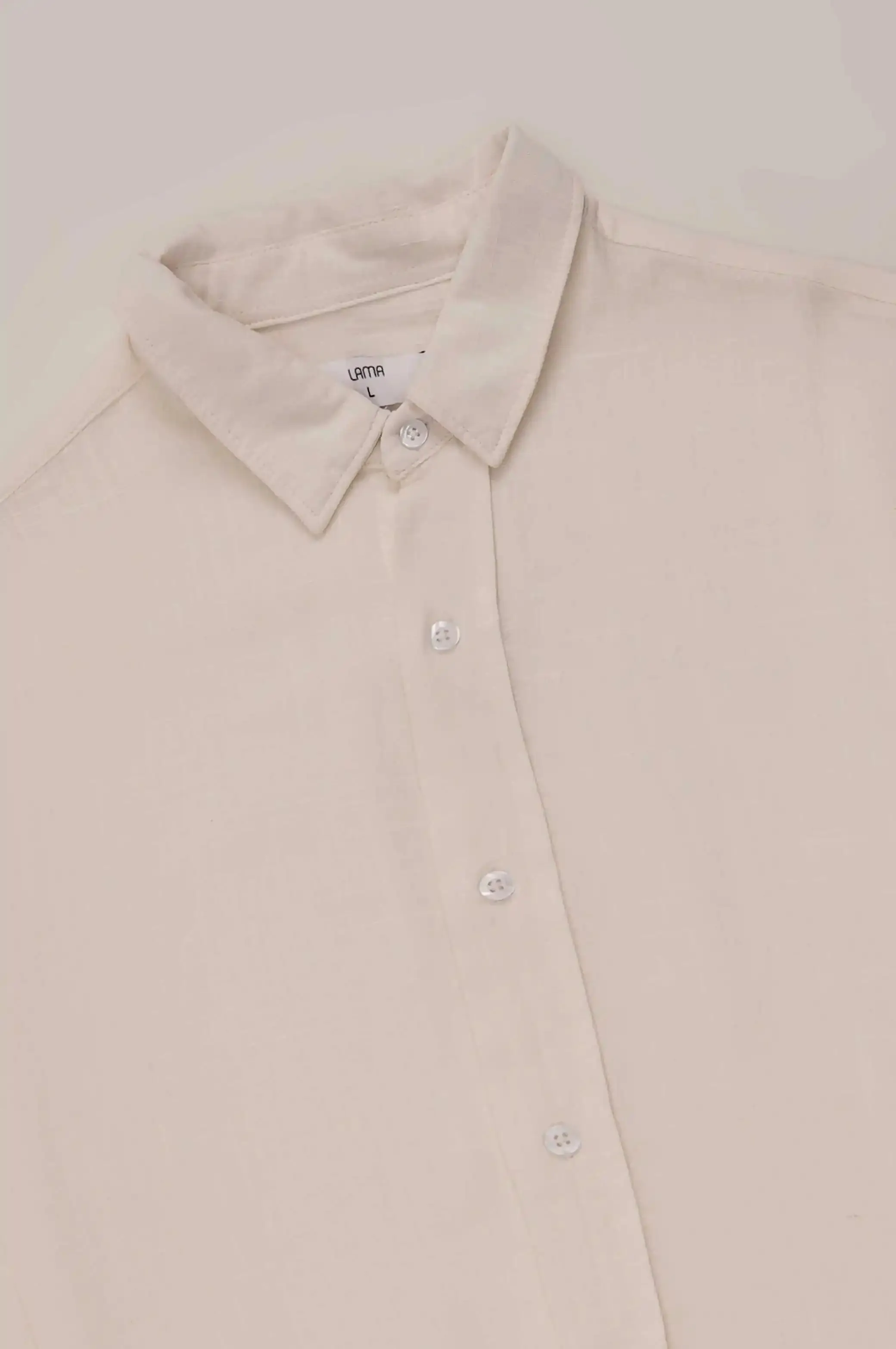 BASIC BUTTON DOWN SHIRT