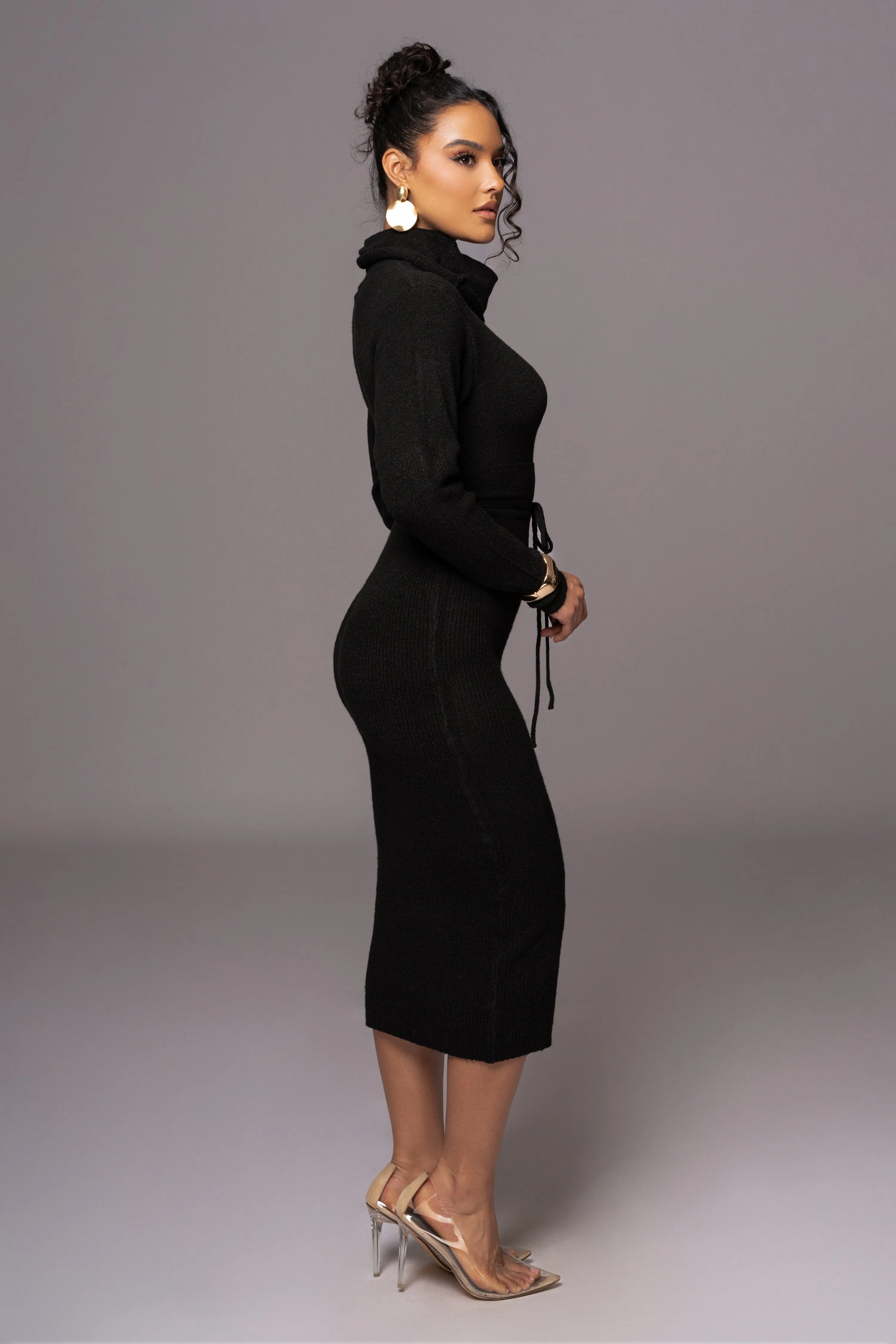 Black Aubrey Turtleneck Sweater Dress