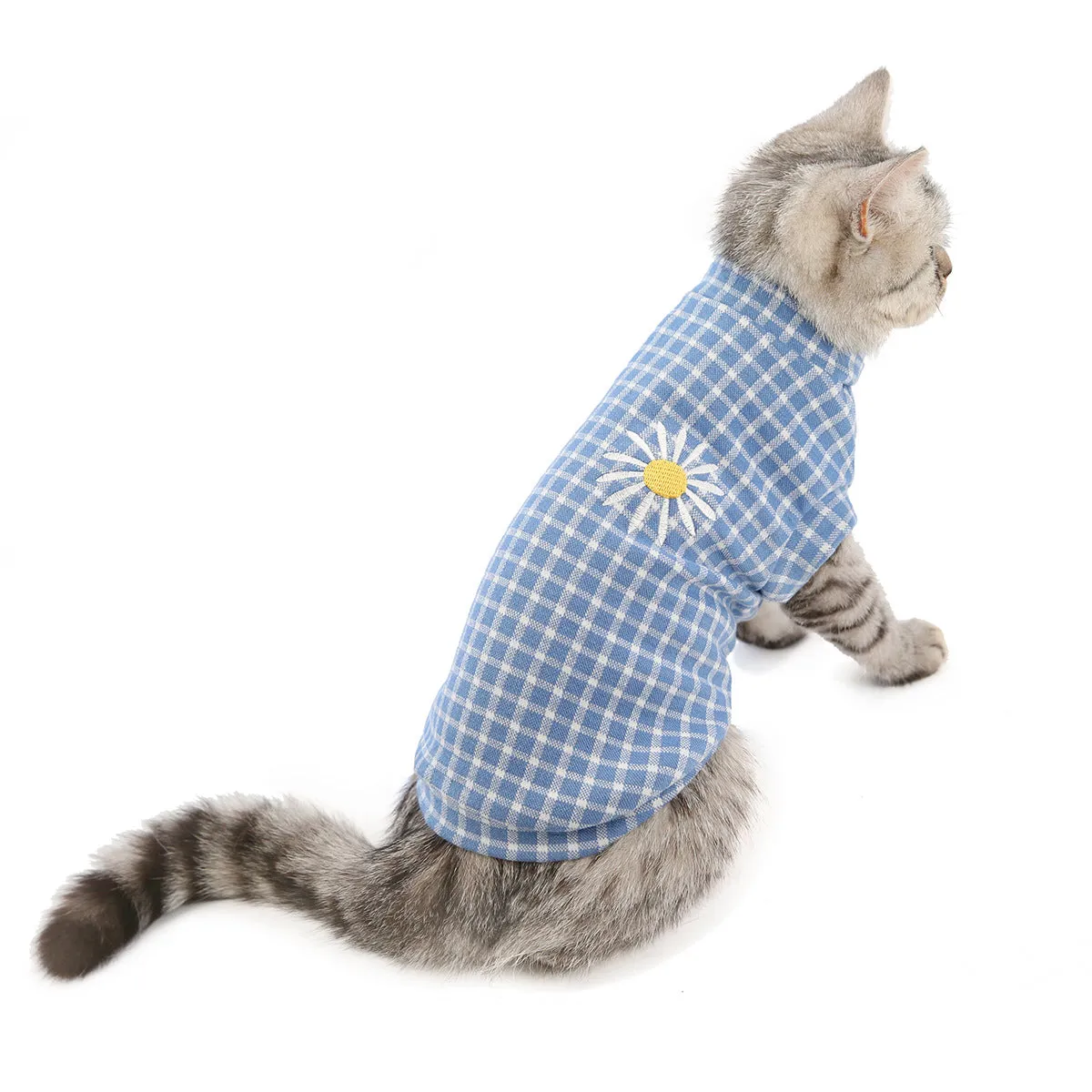 Cat clothes autumn and winter pet clothes