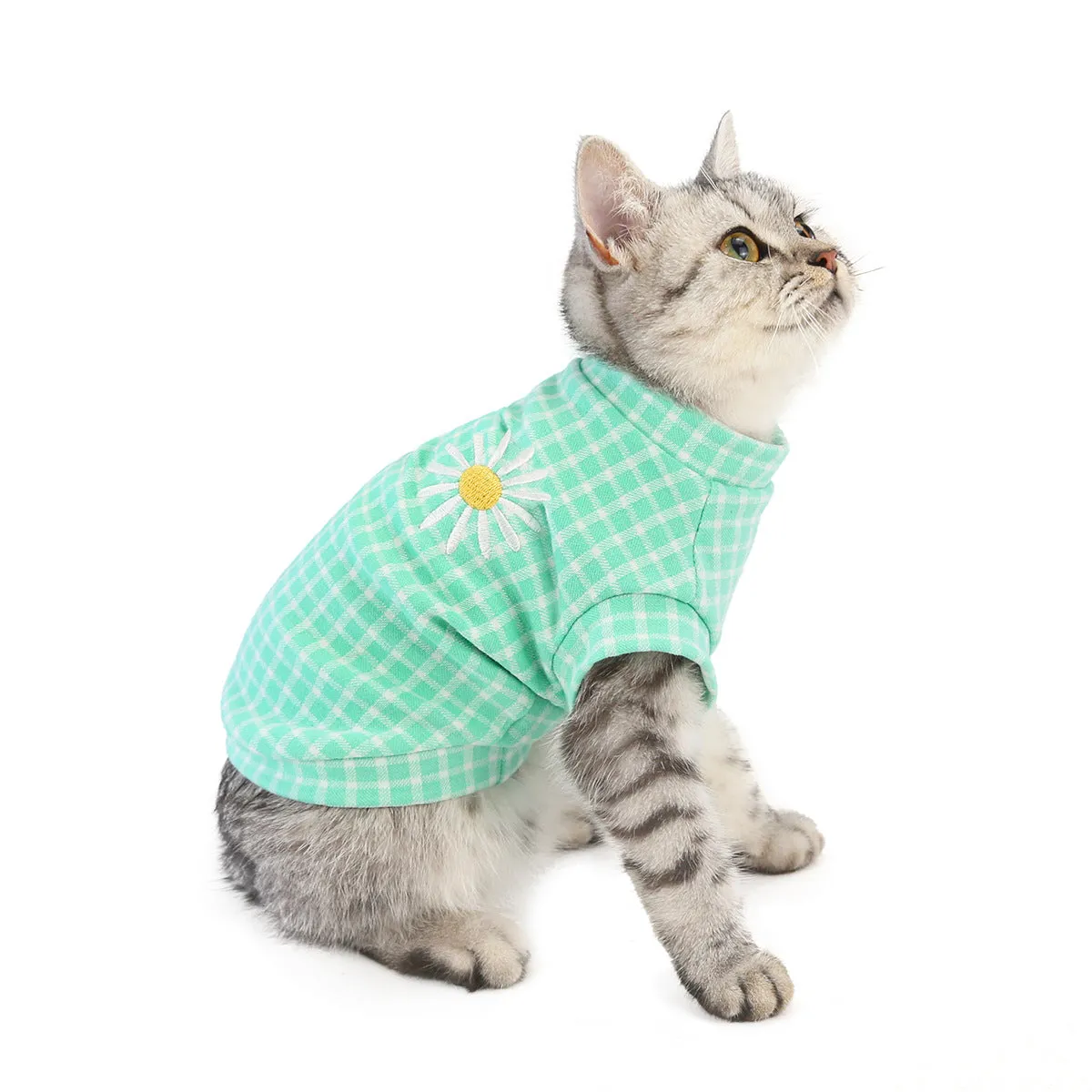 Cat clothes autumn and winter pet clothes