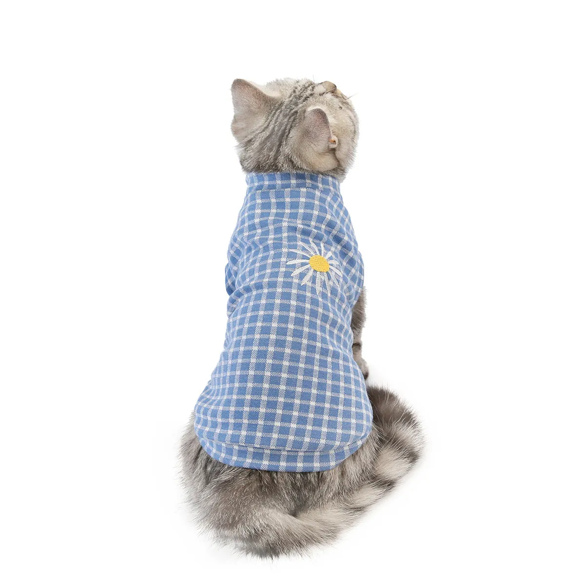 Cat clothes autumn and winter pet clothes