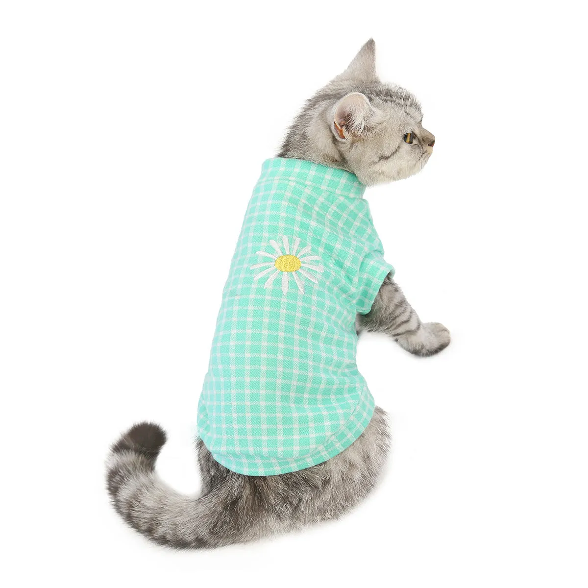 Cat clothes autumn and winter pet clothes