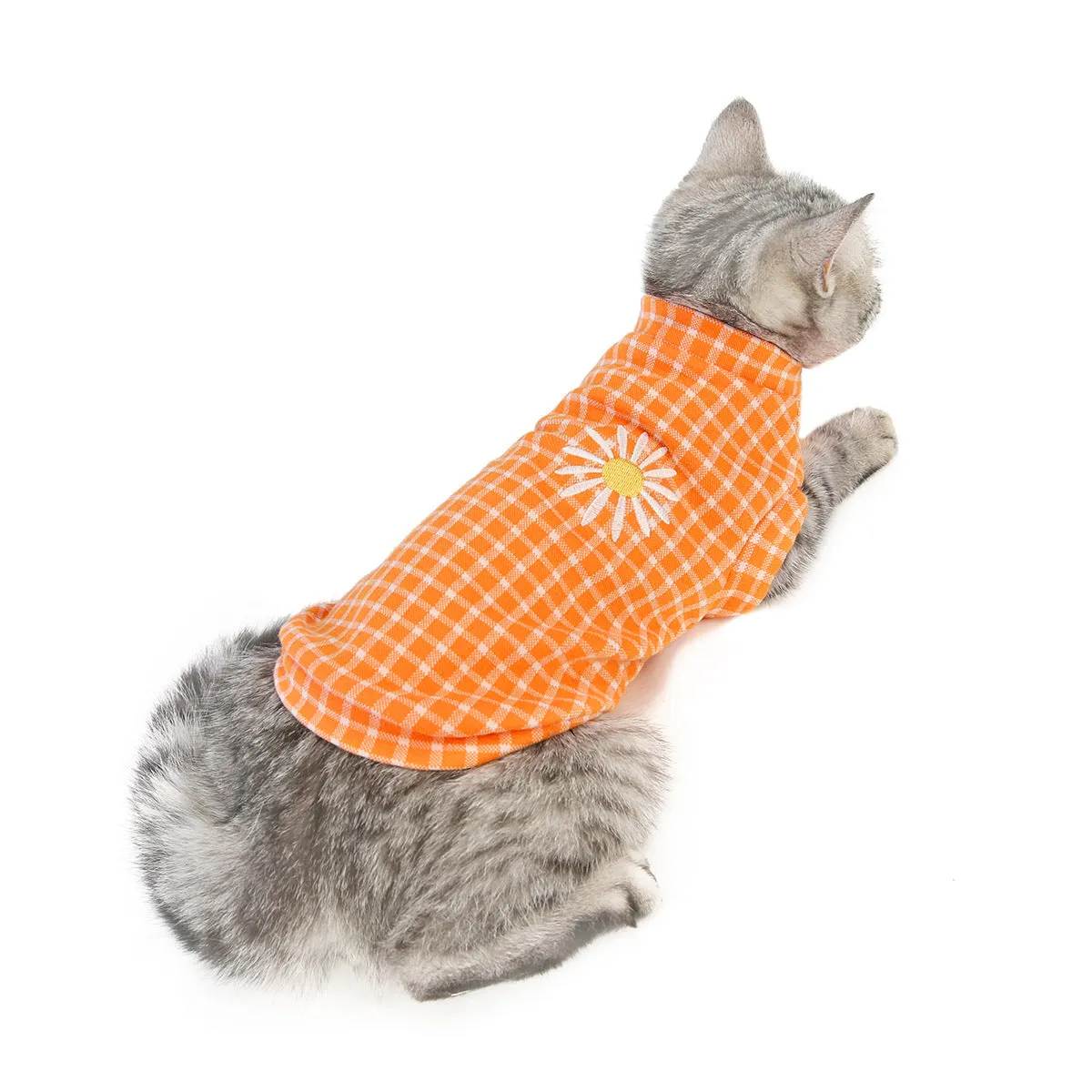 Cat clothes autumn and winter pet clothes