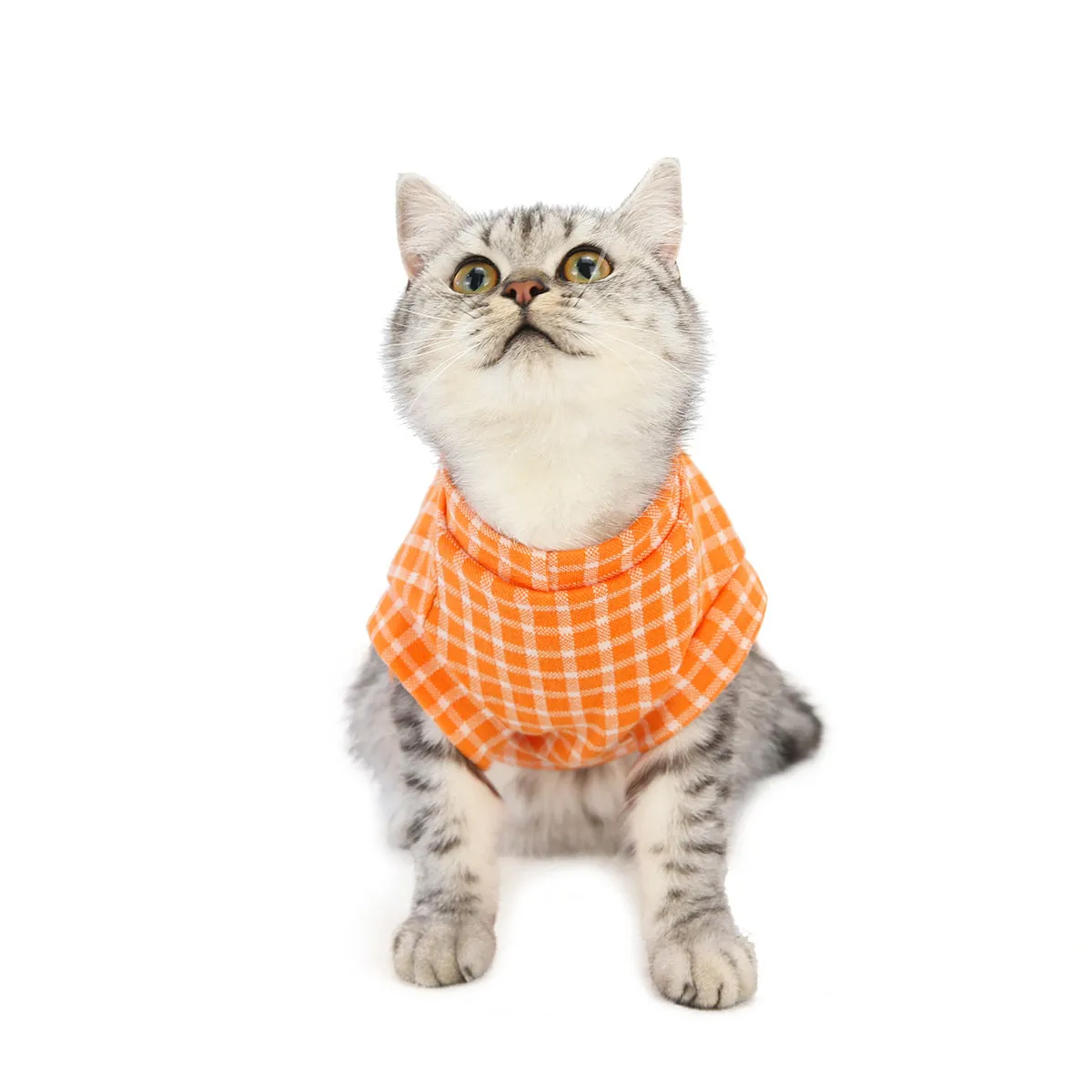 Cat clothes autumn and winter pet clothes