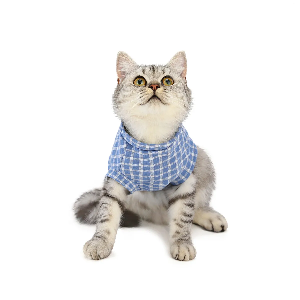 Cat clothes autumn and winter pet clothes