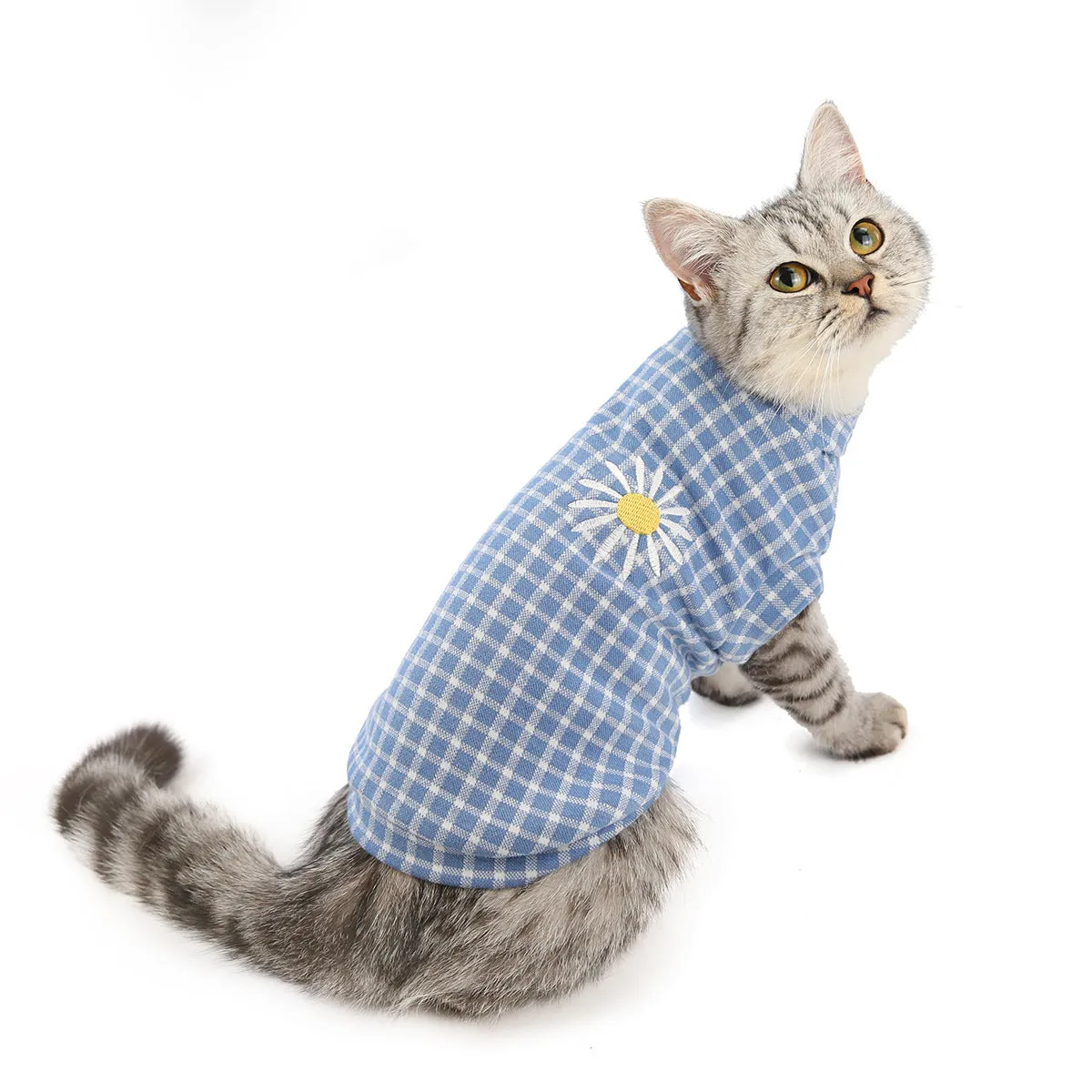 Cat clothes autumn and winter pet clothes