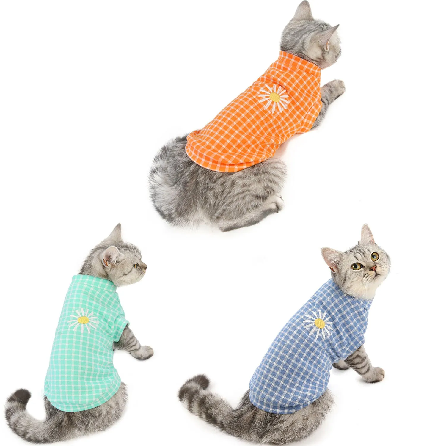 Cat clothes autumn and winter pet clothes