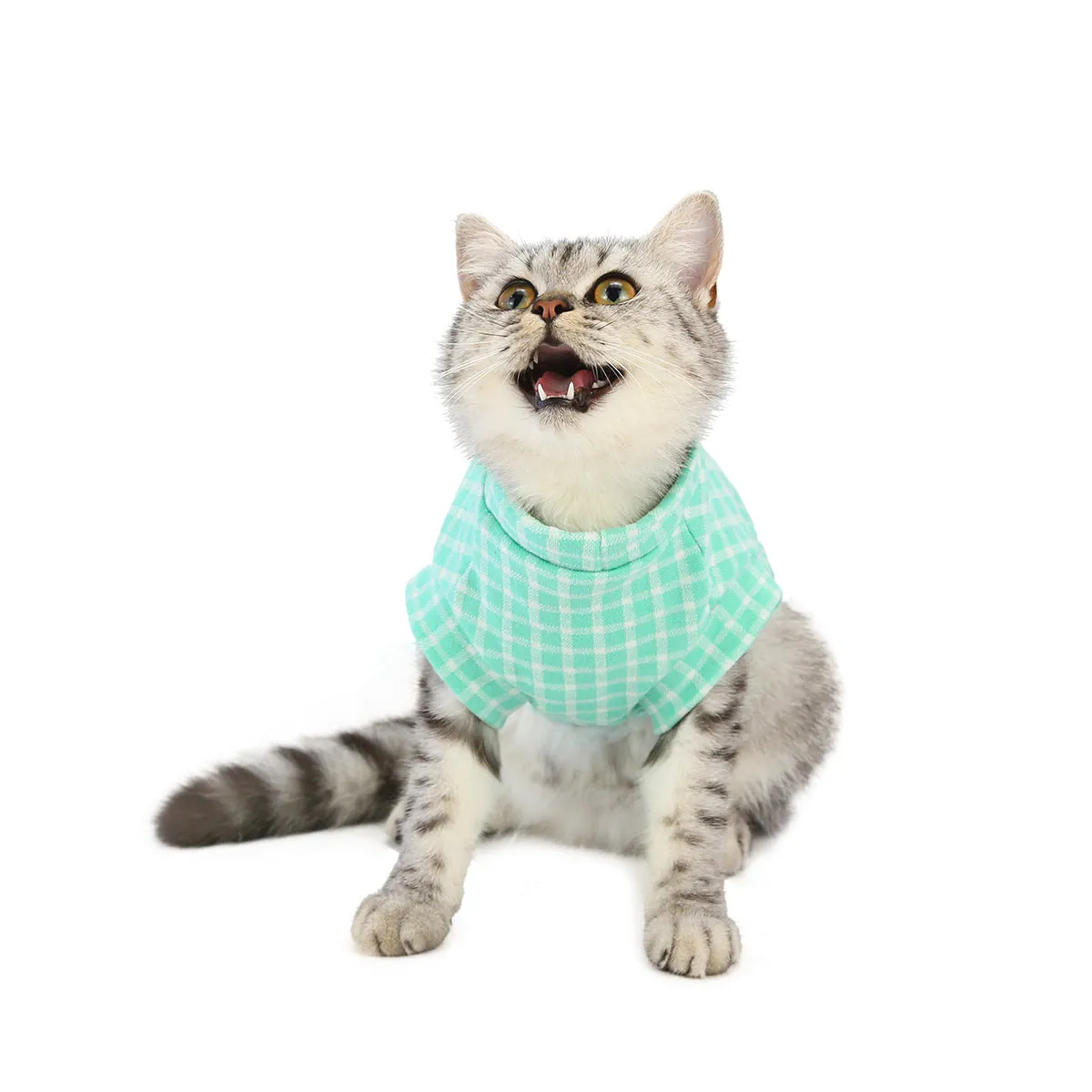 Cat clothes autumn and winter pet clothes