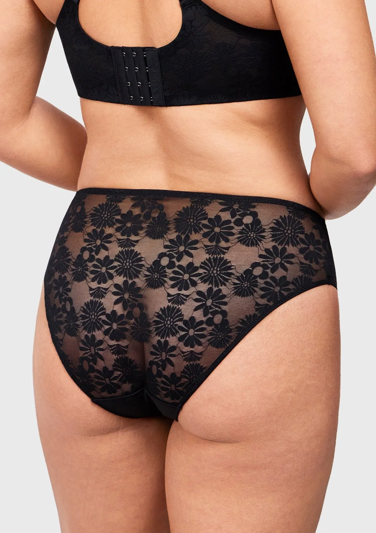 Daisy Smooth Lace High-Rise Rosy Blush Mesh Lace Back Brief Underwear