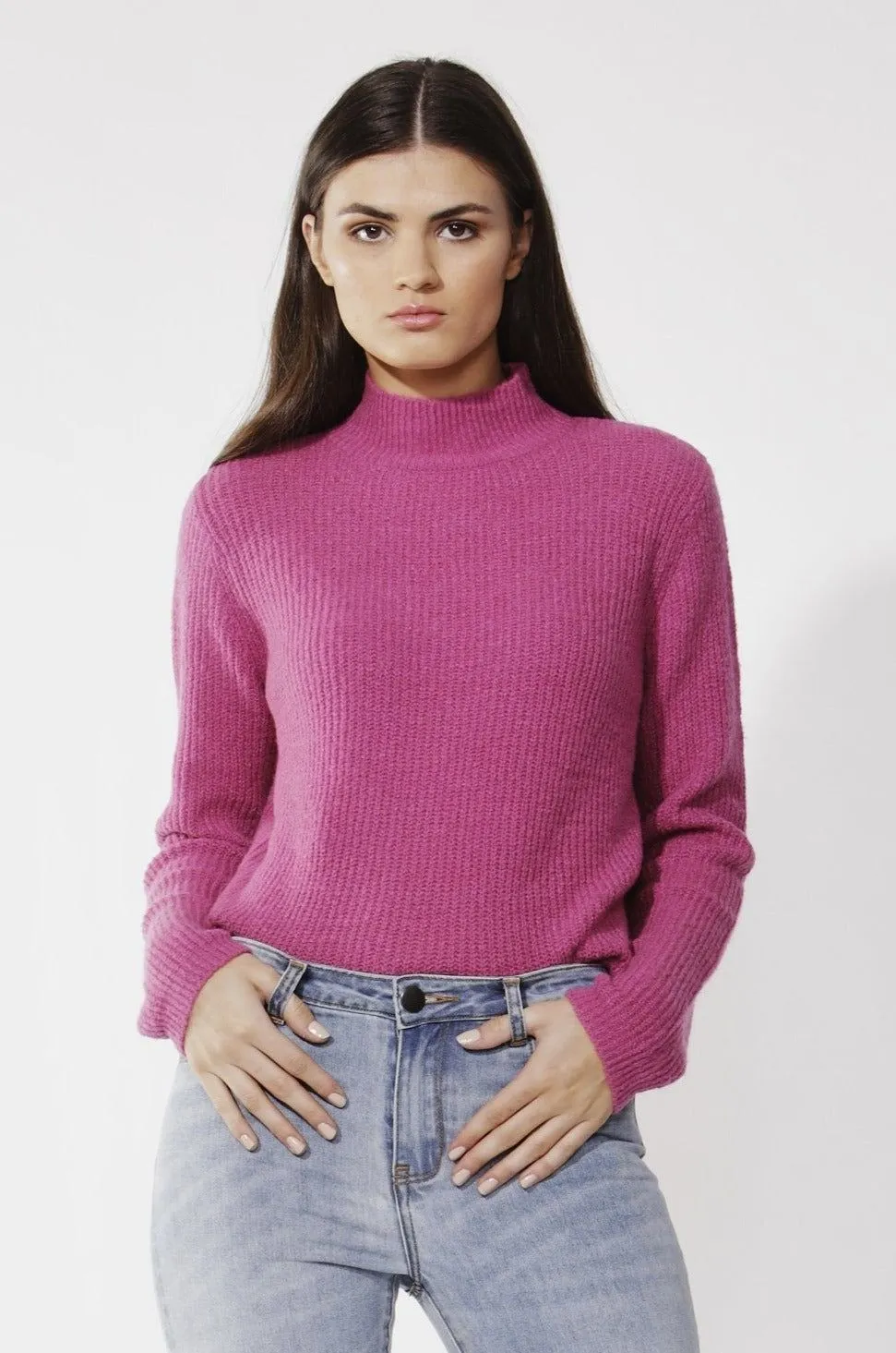 Fate   Becker Marty Turtleneck Knit Jumper in Boysenberry