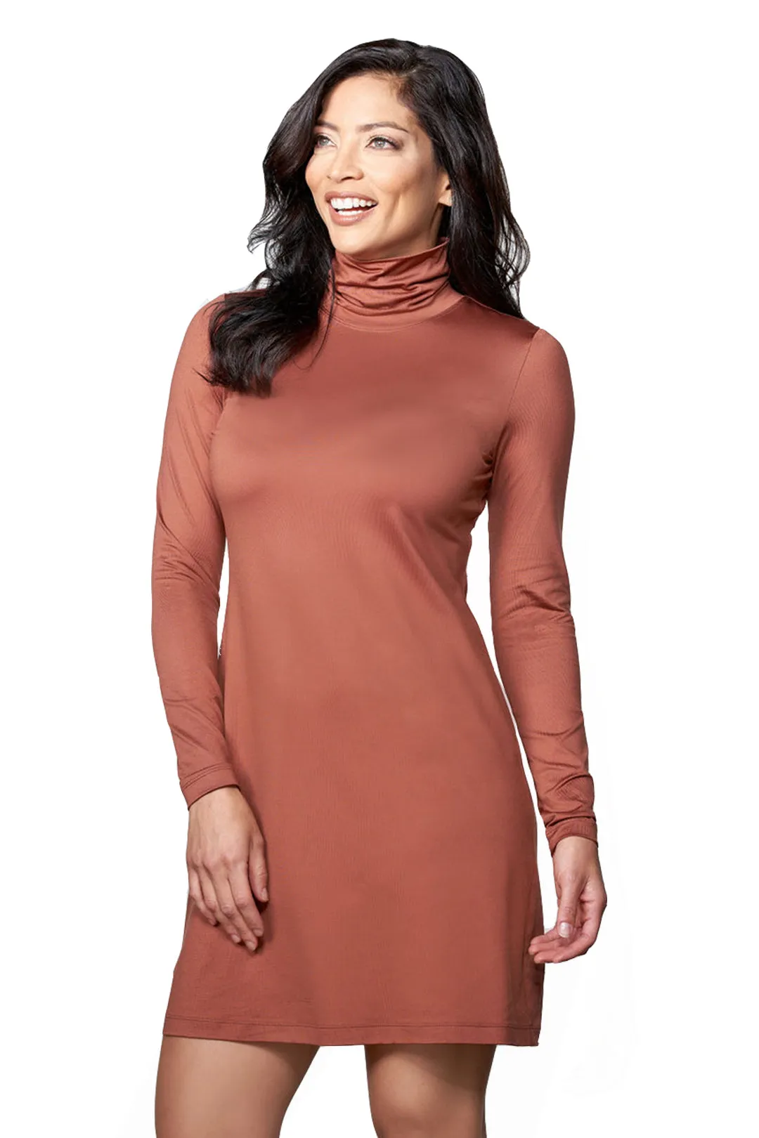 The Turtleneck Dress