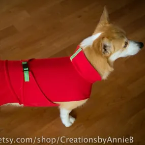 The Ultimate Corgi Coat